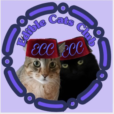 Hi, I'm Henry! I am a tabby who likes to eat and play with my little sister, Lucy. I love to make new friends! We are now members of #ECC Edible Cats Club!!