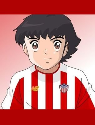 ysilver10's profile picture. 🔴⚪