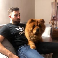 Çağıl (@cgzng62) 's Twitter Profile Photo