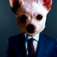 Foxgamer (@jugadorfox) Twitter profile photo