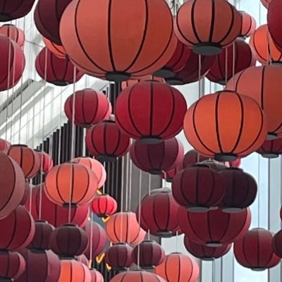 DrMeganMo's profile picture. You would know.