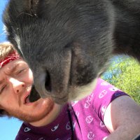 TheOgEcho (@theogecho) 's Twitter Profile
