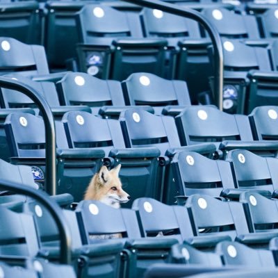 rudderlessyouth's profile picture. An honest man is always in trouble.