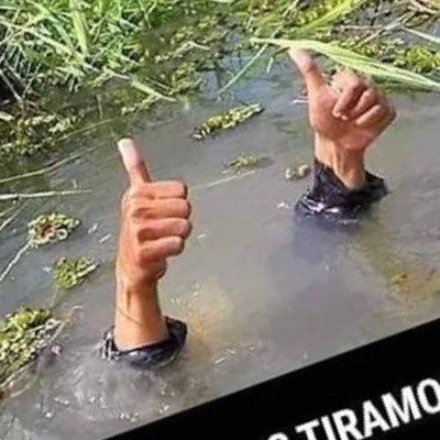 Apenas um rapaz sulamENTIRA PLMDDS 🏳️🌈 🐻🪢safado discreto, 30 anos, literato.