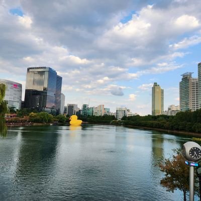 ithelink's profile picture. 생성형 AI / LLM / 인공지능 학습용 데이터