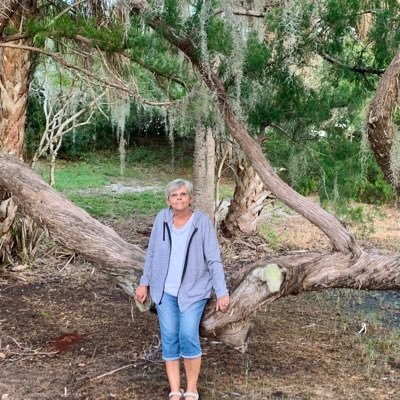 VickiSanders101's profile picture. 