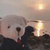Gary Burton꧁IP꧂🦭/acc (@garybur037) Twitter profile photo Gary Burton꧁IP꧂🦭/acc (@garybur037) Twitter profile photo