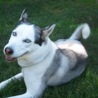Ti Less (@eltiless) 's Twitter Profile