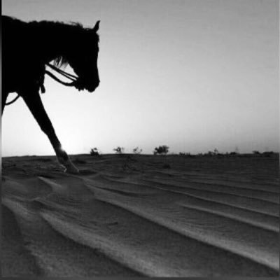 aalsub_n's profile picture. 