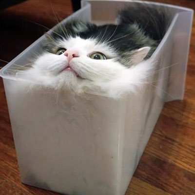 もっさんのプロフィール画像