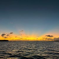 soumya pulipati (@soumyapulipati) 's Twitter Profile