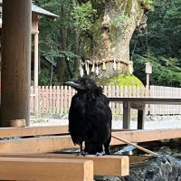 🇯🇵クー・リプト🌙 (@crypto_ryoma_s) 's Twitter Profile