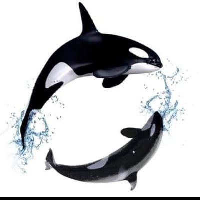 SamperHugo's profile picture. 
