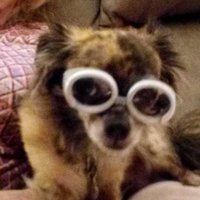 Chris Hay (@chrishaysooner) 's Twitter Profile
