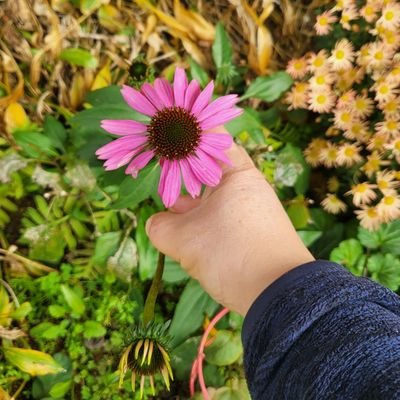 정원 가꾸는 정신과의사, amateur gardener,psychiatrist