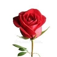 MPS_SRG's profile picture. पूर्व अध्यक्ष मानव पथ संगठन ( फोलो बैक लेकर अनफॉलो करने वालो को अनफॉलो कर दिया जाएगा)