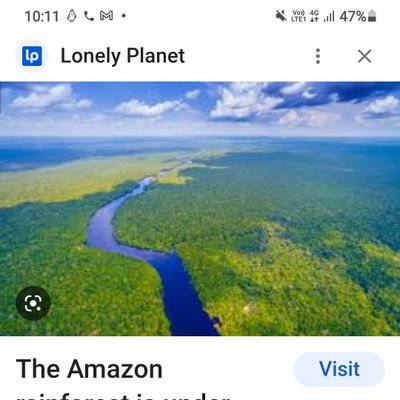 Amazon Forest.