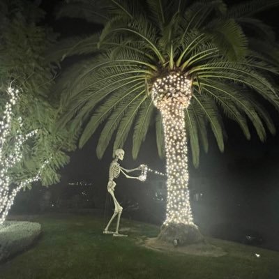 keresifonjohn01's profile picture. 