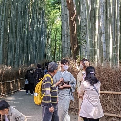 日本で働いている人、英語や日本語もできて、日本で冒険に行くぞっ。フロントエンドの大悪魔、iOS/ReactNative/Android/Node.js/Unity、日本語N2、MT免許、TOEIC870、スクワット150KG。