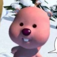 rangul83's profile picture. 