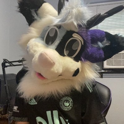 Hello I’m Trey! 23 years old 🏳️‍🌈🇺🇸 Deer Fox 💜@xboxOtter❤️ I do law stuff, Soccer stuff, NASCAR fur. @treypawslut 🔞 no minors!