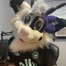 Treypaw1's profile picture. Hello I’m Trey! 26 years old 🏳️‍🌈🇺🇸 Deer Fox 💜@xboxOtter❤️ I do law stuff, Soccer stuff, NASCAR fur. @treypawslut 🔞 no minors!