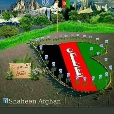 Abdul84117331's profile picture. 