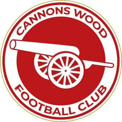 England Accredited Club playing in the Essex Senior Reserve League. For all enquiries email info@cannonswoodfc.co.uk