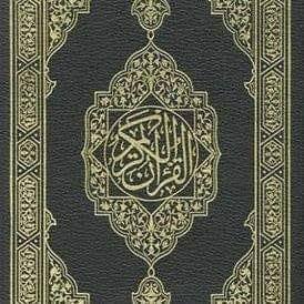 المُصحَف 🇵🇸 Profile