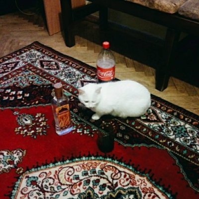 zheminlin's profile picture. Learner & Fundamental Researcher.
Long Live Volatility. Critical Rationalism.
欢迎纠错和理性探讨