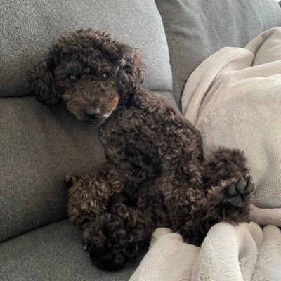 Matsucy01's profile picture. 3DプリンタでDIYをやっておりまつ。素人です。気合いです。雪国には住んでおりまつぇん。