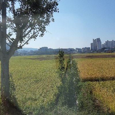 Pounggean_'s profile picture. 잡탕