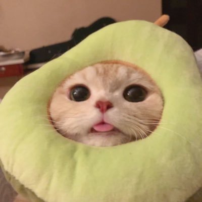 CheetoChetao's profile picture. 