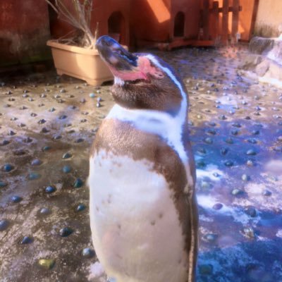 lucky30404244's profile picture. 