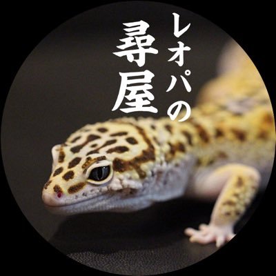 第一種動物取扱業 大分県第190054号 大分県中津市でレオパを中心に爬虫類の繁殖、販売をしています。 お越しの際は事前にご連絡ください。卸もしておりますので業者様からのご連絡も歓迎です。 販売個体やHPは下記URLより