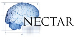 The Network for European CNS Transplantation and Restoration is a network of scientists dedicated to researching treatments for neurodegenerative diseases.