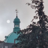 Jane Birky (@birkyjane) 's Twitter Profile Photo