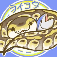まぐろisけちゃっぴ (@kechappi_hunter) 's Twitter Profile Photo まぐろisけちゃっぴ (@kechappi_hunter) 's Twitter Profile Photo