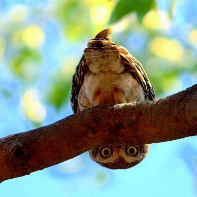 Ευθύνομαι γι ό,τι λέω, και όχι για ό,τι καταλαβαίνει ο άλλος.