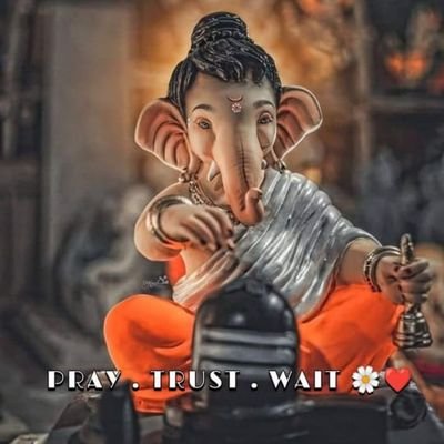 HINDUTANI6's profile picture. 