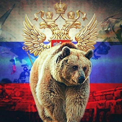 الموجز الروسي | Russia news 🇷🇺 Profile