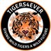 Tigers4Ever (@Tigers4Ever2010) Twitter profile photo