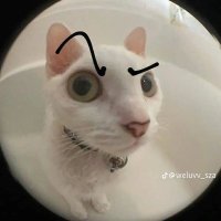 bee 🐝 (@magic01443577) 's Twitter Profile