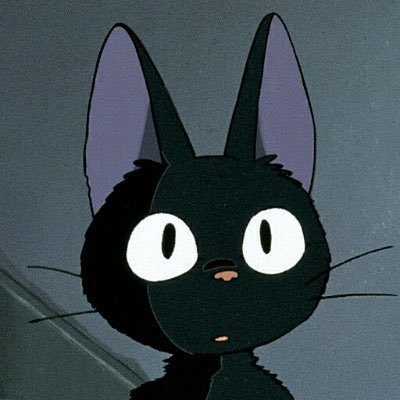 CCBs3ZTVrfgWgfK's profile picture. 