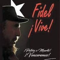José Miguel Hernández (@josmiguel1983) 's Twitter Profile