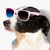 Nothing To See Here (@tylerhardt) 's Twitter Profile Photo