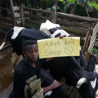 AsasiraAlexand1's profile picture. Am a coordinator at Marvin_Pet_Sanctuary in Uganda. Dedicated to improving lives of animals in shelters and in homes