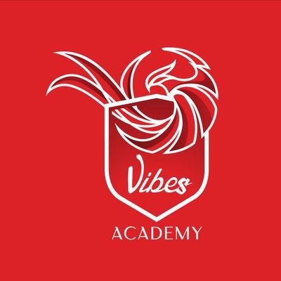 thevibesacademy Profile Picture