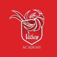 Vibes Academy(@thevibesacademy) 's Twitter Profile Photo