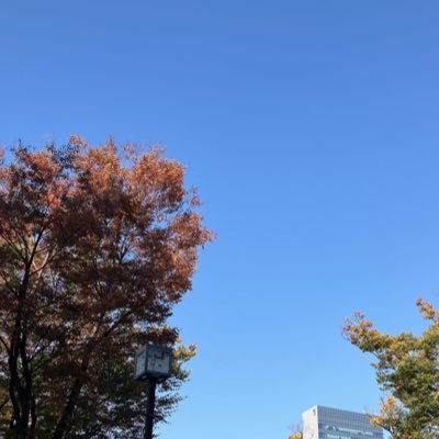 memezuzuz's profile picture. アラフォースノ担💚寄りの箱推しです⛄️仲良くしてください🕊️